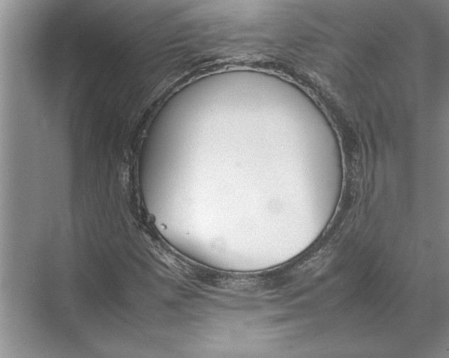 X0000074971257200609221814