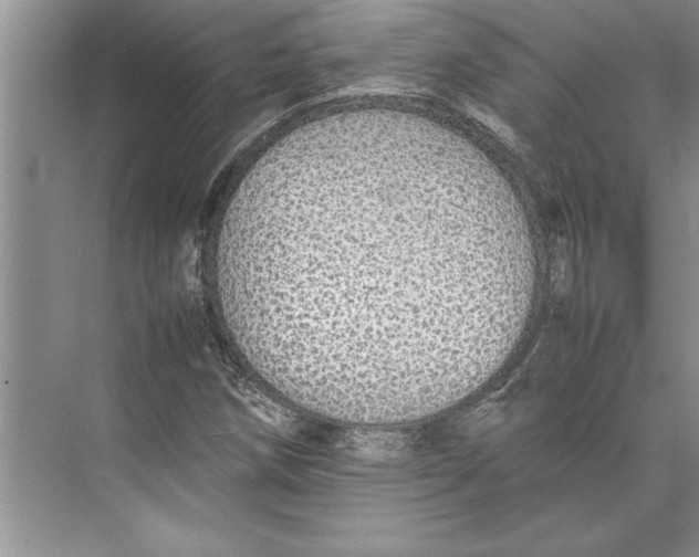 X0000074971258200609221814