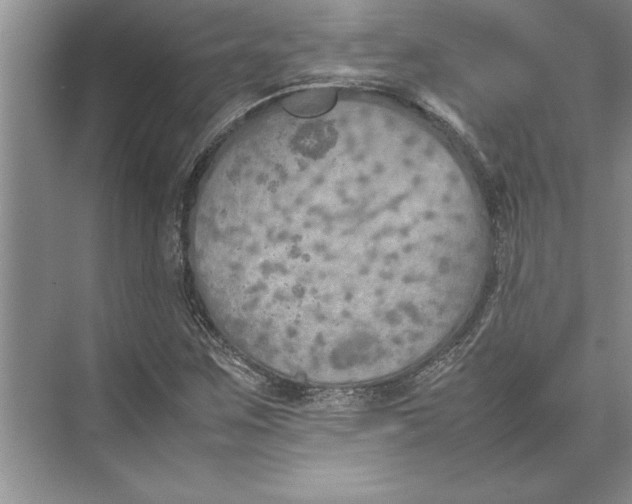 X0000074971259200609221814