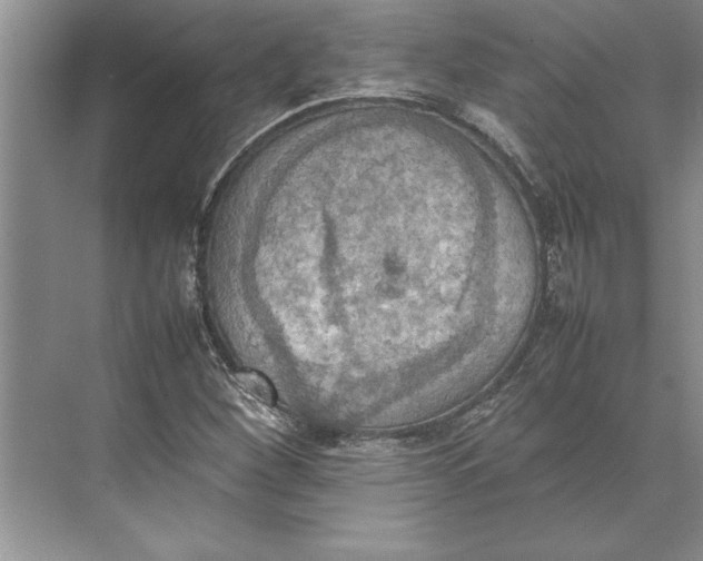 X0000074971260200609221814