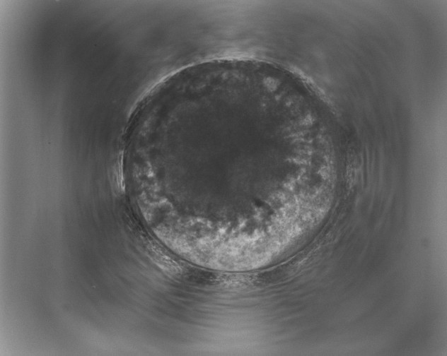 X0000074971262200609221814