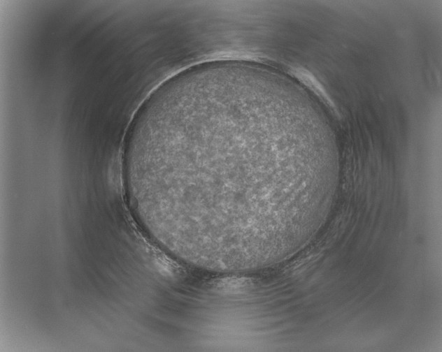 X0000074971268200609221813