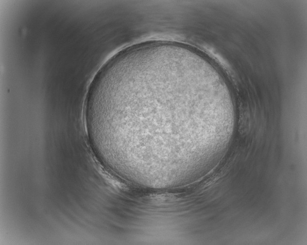 X0000074971272200609221813