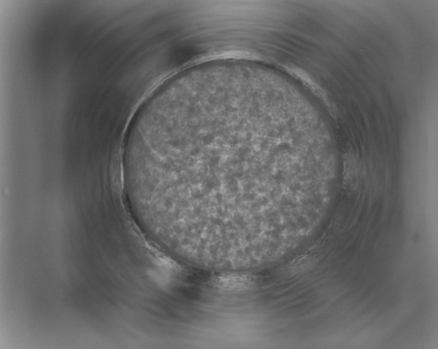 X0000074971274200609221813