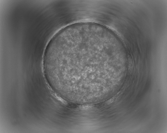 X0000074971278200609221813