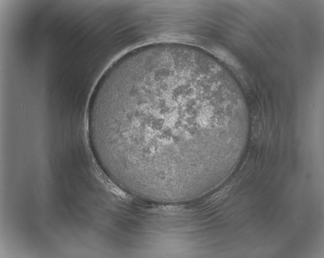 X0000074971280200609221813