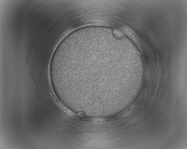 X0000074971283200609221813