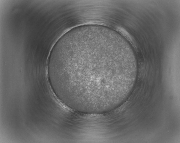 X0000074971284200609221813