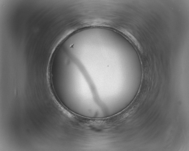 X0000074971285200609221813