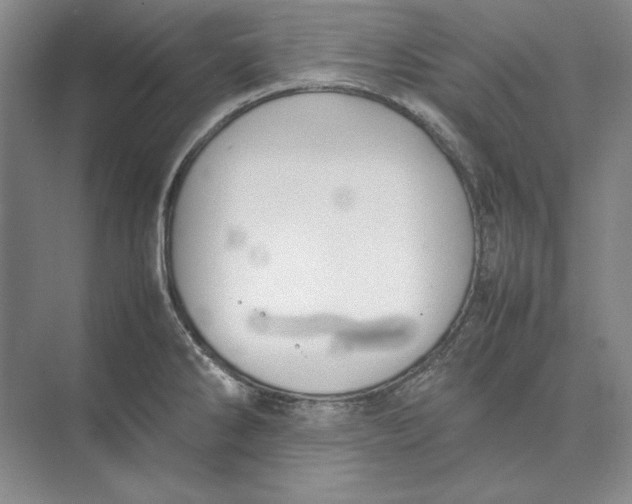 X0000074971286200609221813