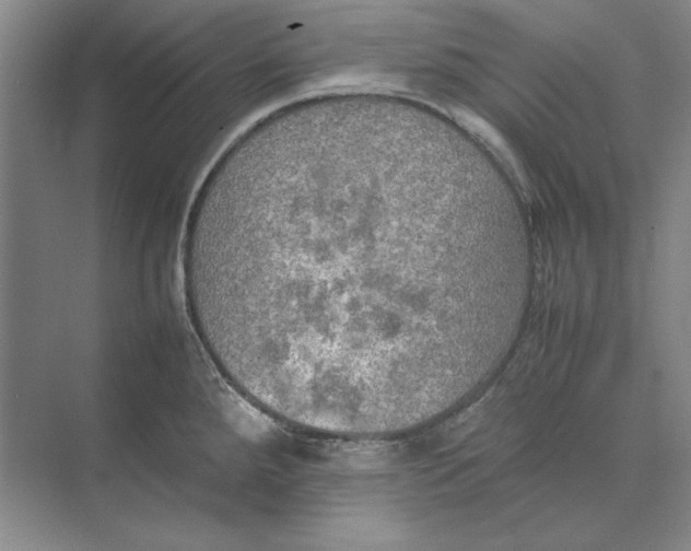 X0000074971288200609221813