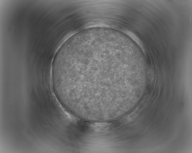 X0000074971290200609221813