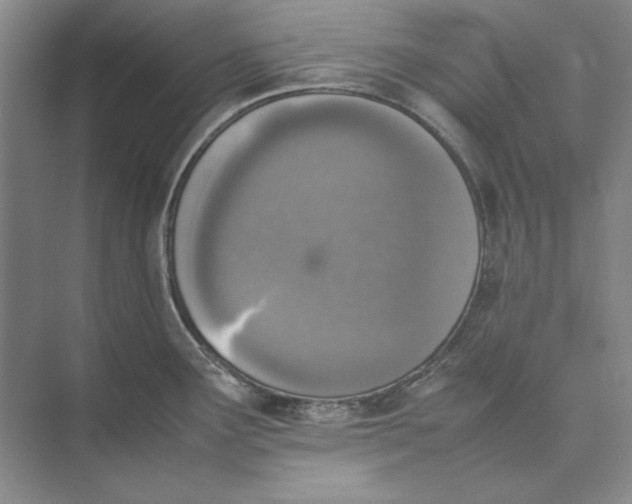 X0000074971291200609221813