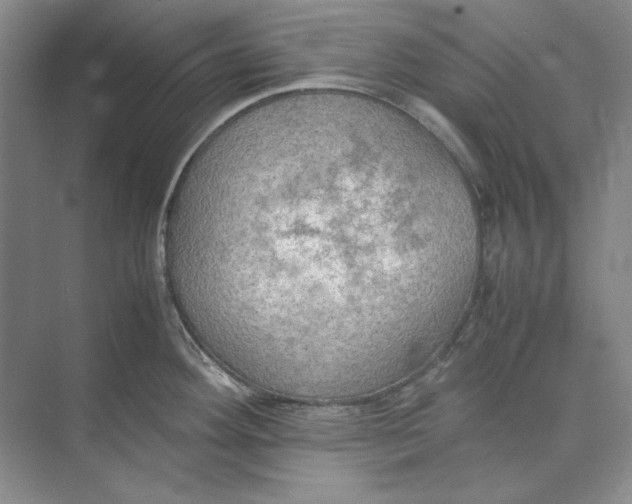 X0000074971292200609221813