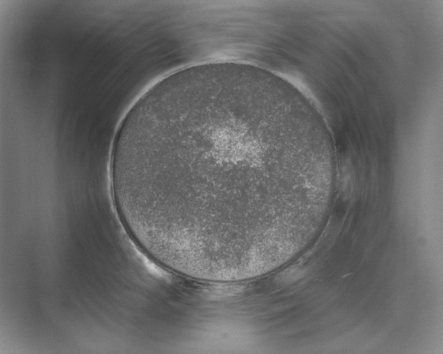 X0000074971294200609221813