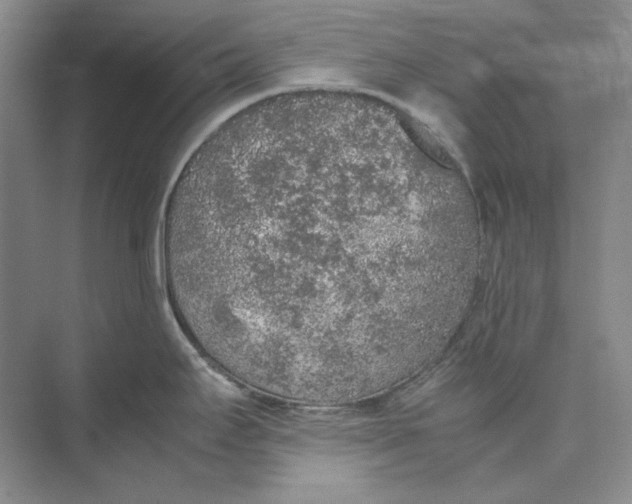 X0000074971295200609221813