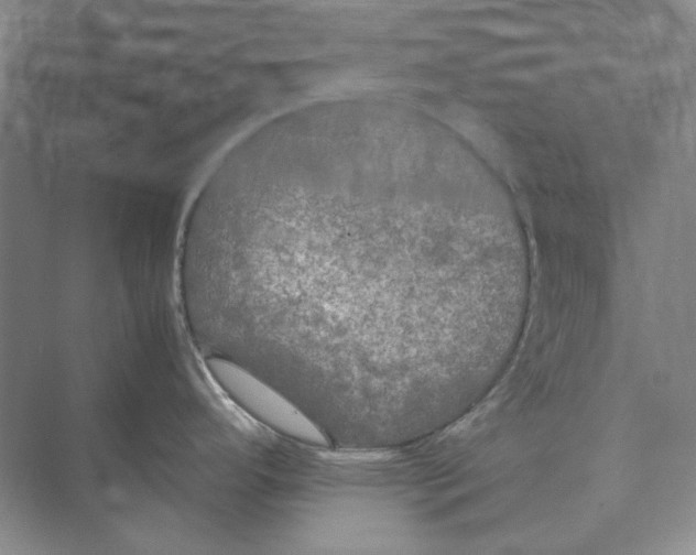 X0000074971296200609221813