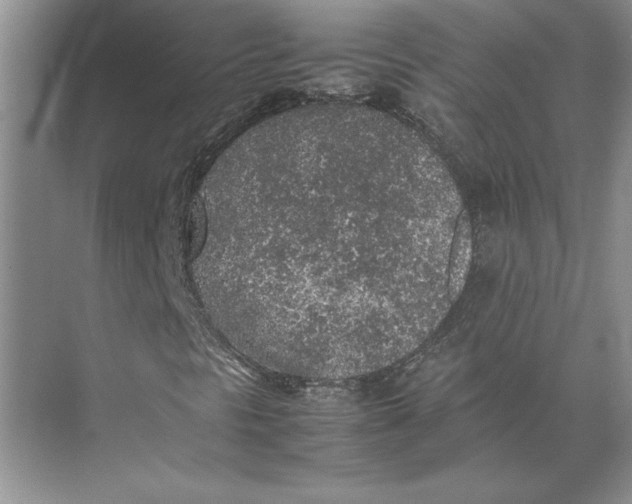 X0000074971297200609221812