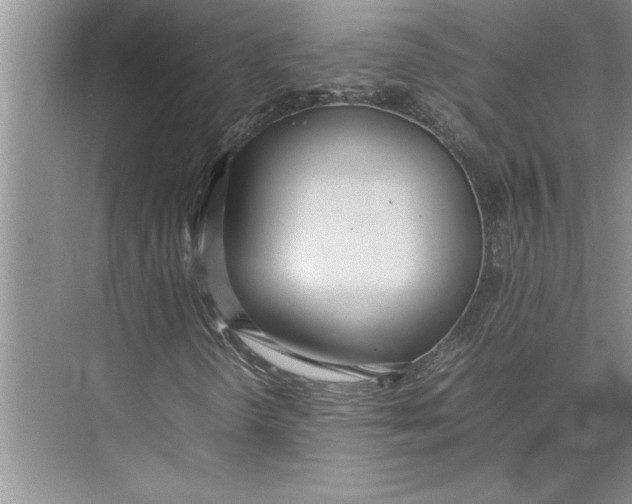 X0000074971298200609221812