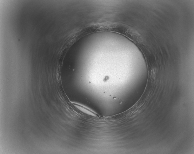 X0000074971300200609221812