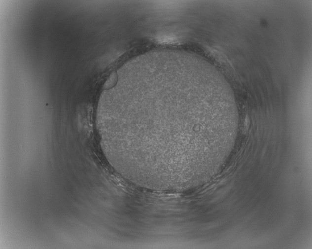 X0000074971301200609221812