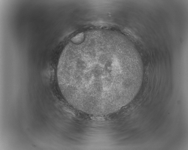 X0000074971302200609221812