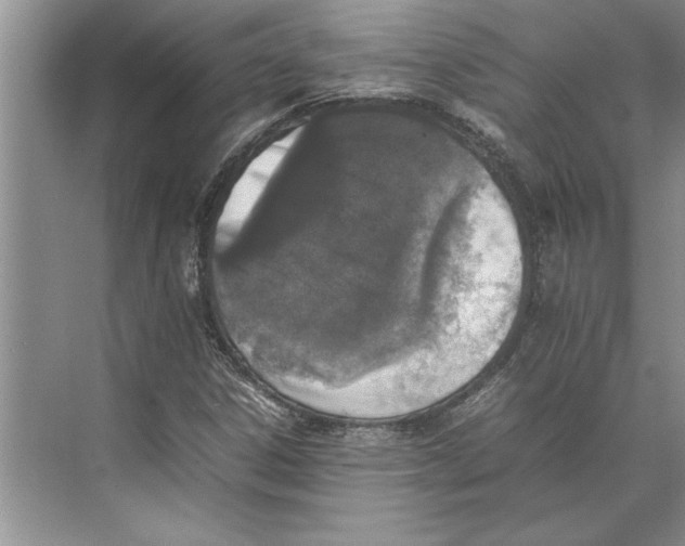 X0000074971306200609221812