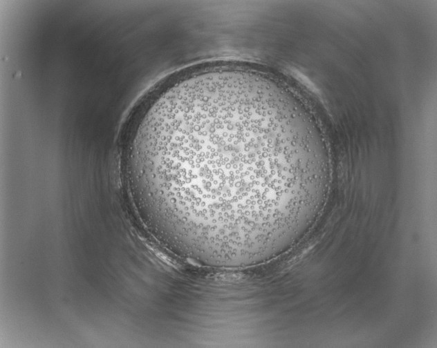 X0000074971310200609221812