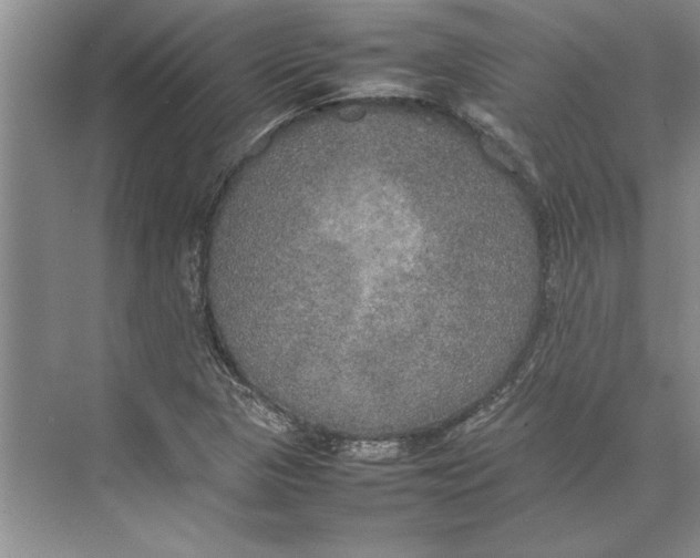 X0000074971313200609221812