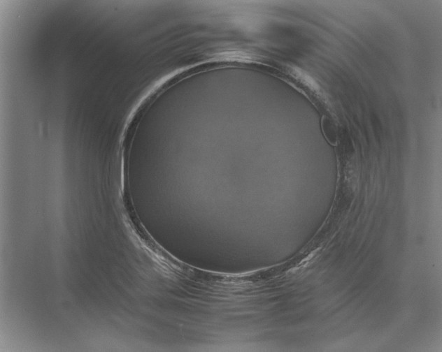 X0000074971323200609221813