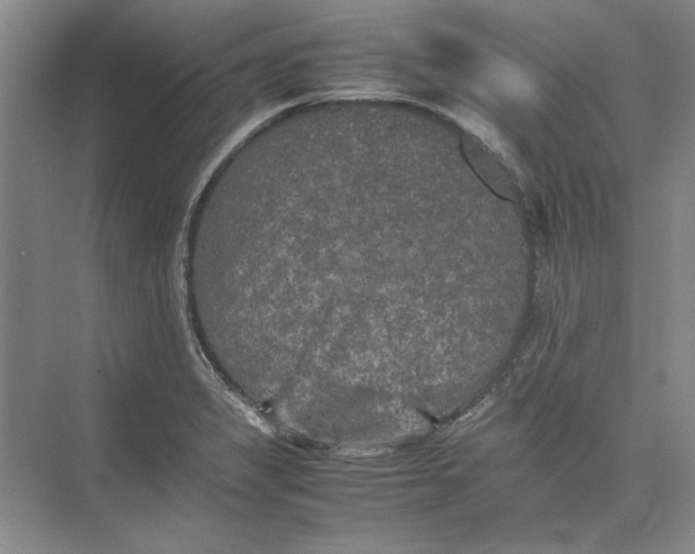 X0000074971325200609221813