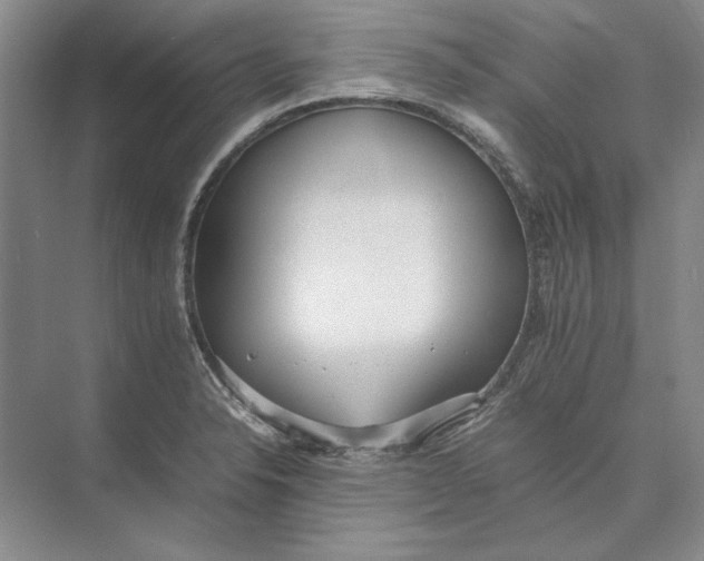 X0000074971326200609221813