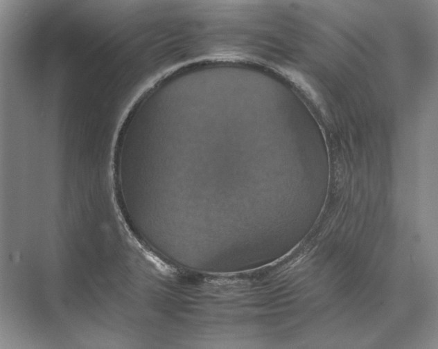 X0000074971327200609221813