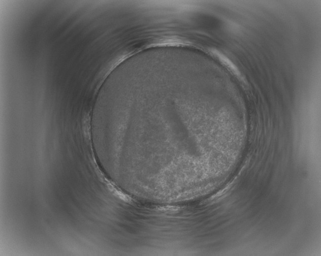 X0000074971329200609221813