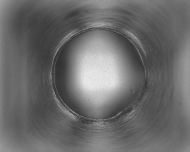 X0000074971330200609221813