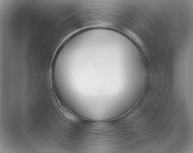 X0000074971332200609221813