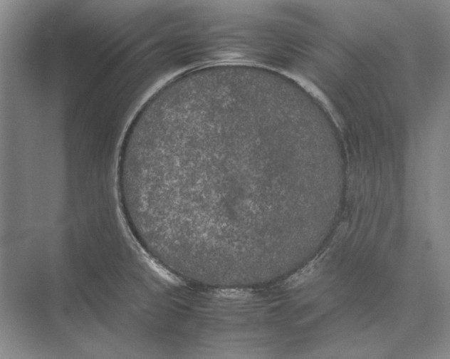 X0000074971333200609221813