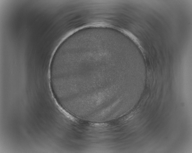 X0000074971335200609221813