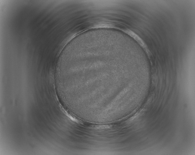 X0000074971337200609221813