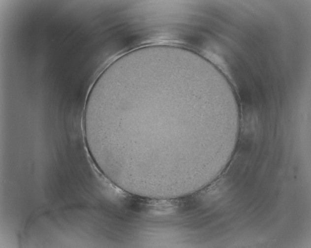 X0000074971338200609221813