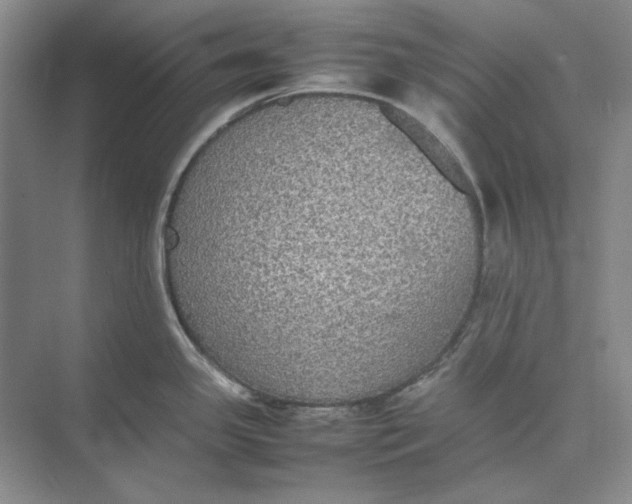 X0000074971341200609221813