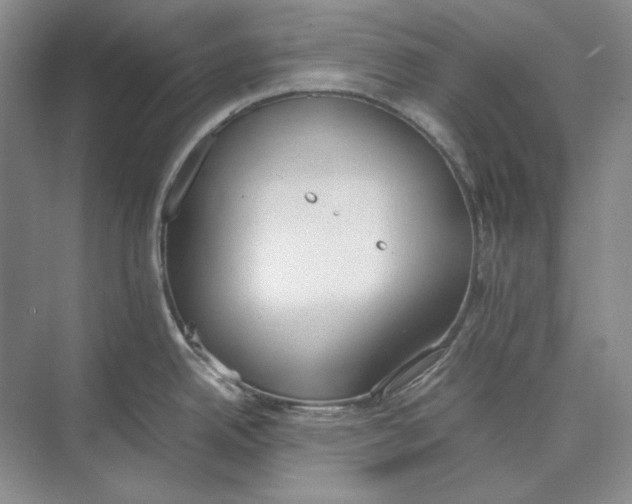 X0000074971342200609221813