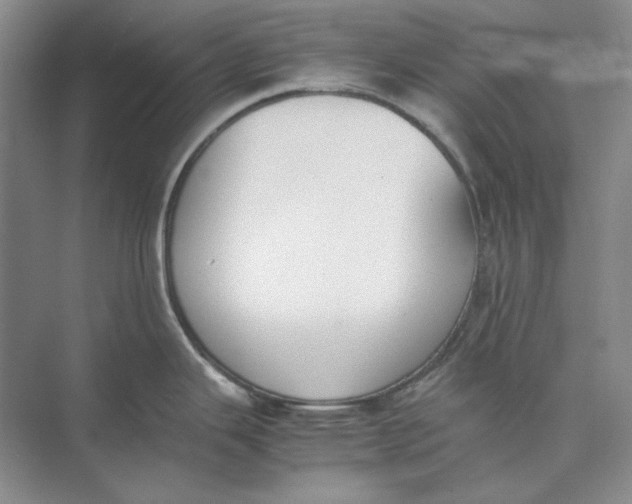 X0000074971343200609221813