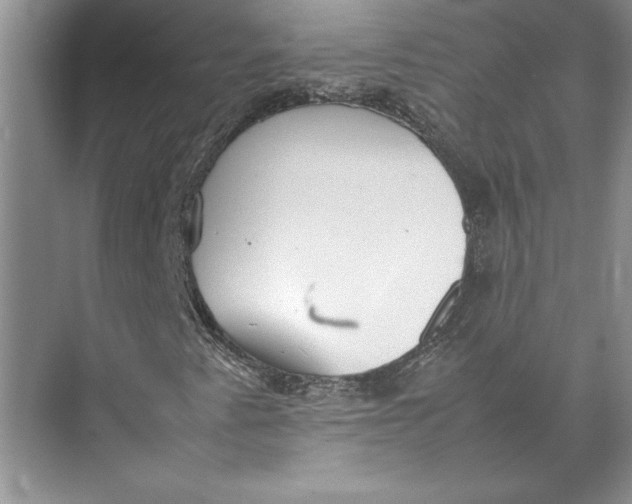 X0000074971345200609221812