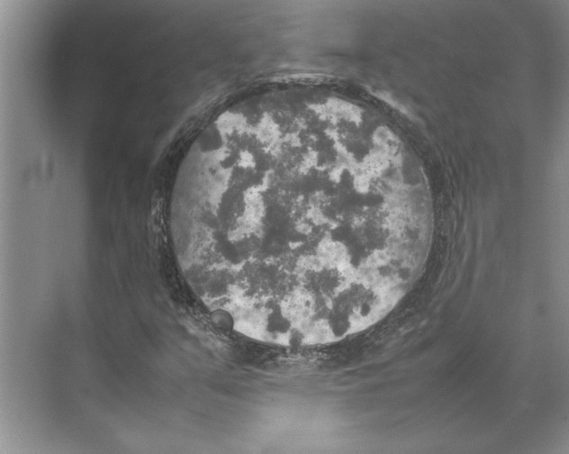 X0000074971351200609221812