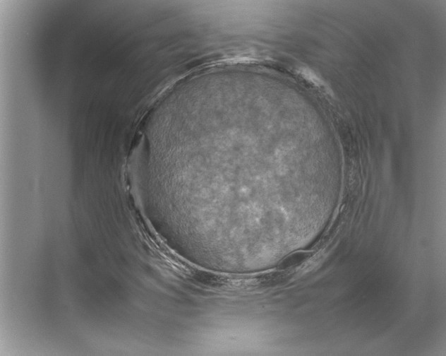 X0000074971353200609221812