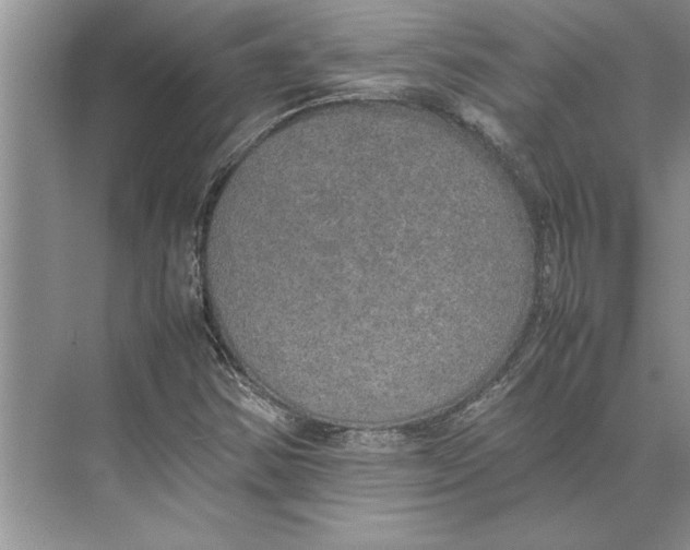 X0000074971354200609221812