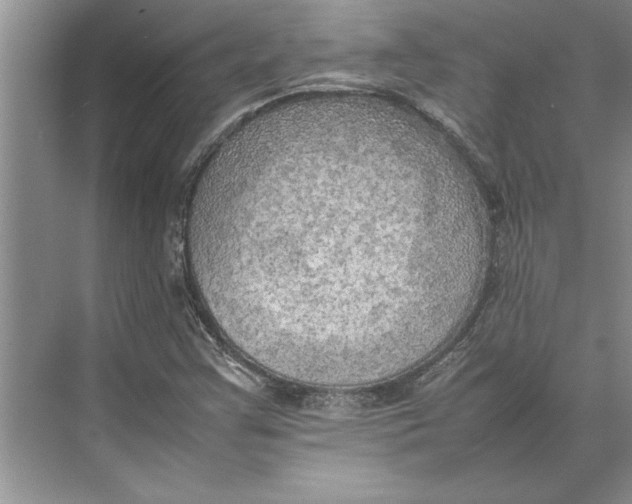 X0000074971355200609221812