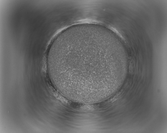 X0000074971358200609221812