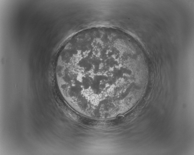 X0000074971359200609221812